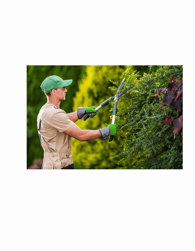 Assistant/e horticulteur/euse en production