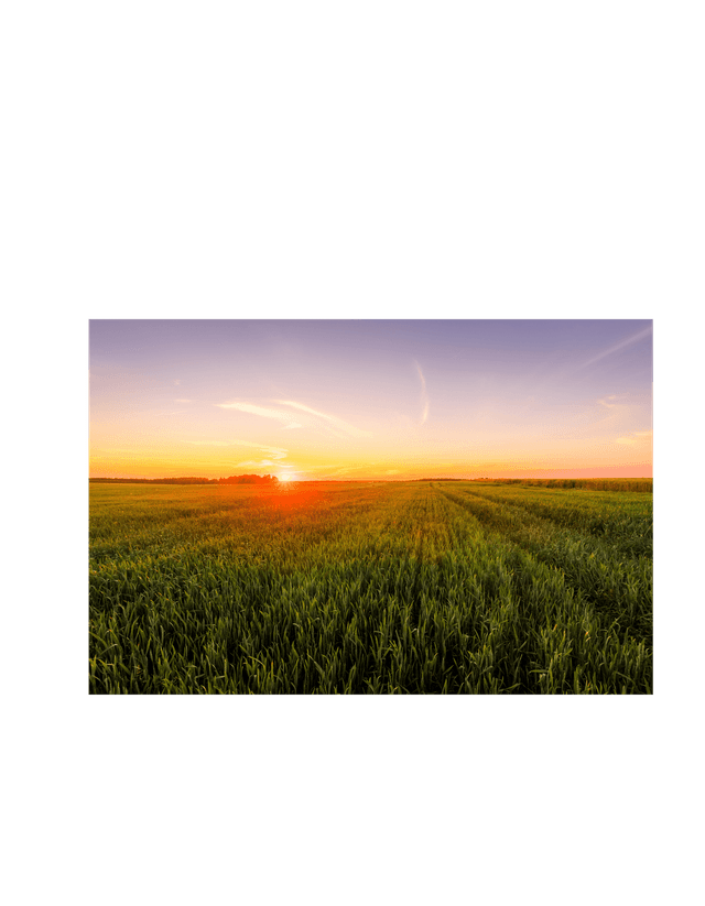 Agent/e qualifié/e pour le secteur agricole (transfrontalier)