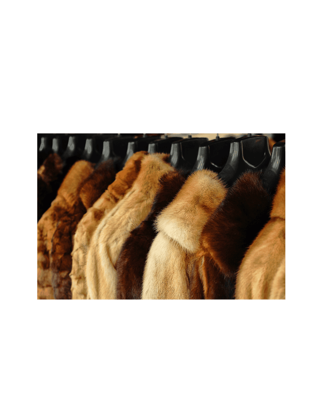 Fourreur/euse (transfrontalier)