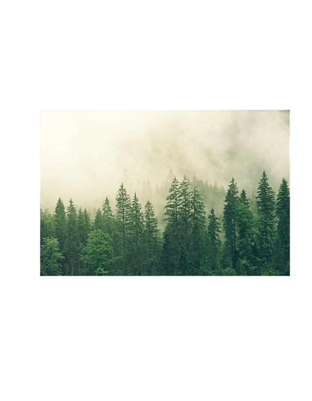 Opérateur/trice de la forêt et de l'environnement