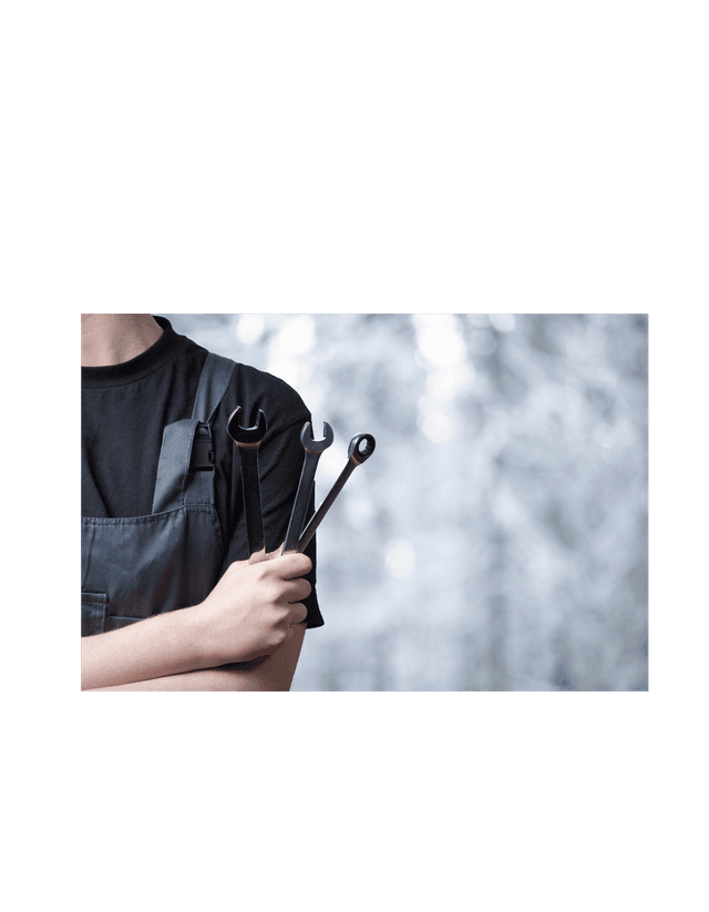 Technicien/ne division mécanique, section mécanique automobile