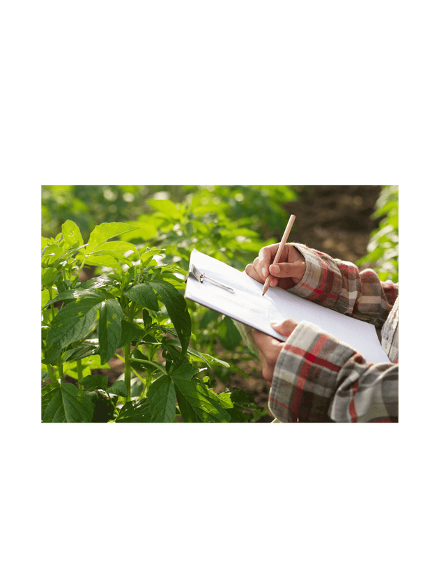 Technicien/ne division agricole, section agricole