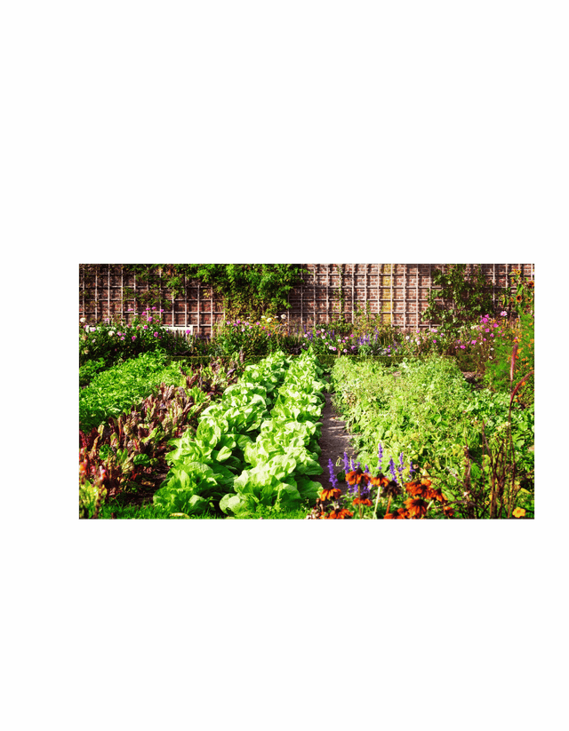 Technicien/ne division agricole, section horticole